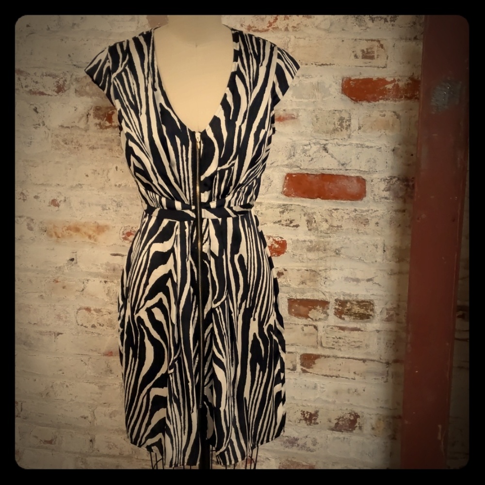 H&M Zebra Print Dress